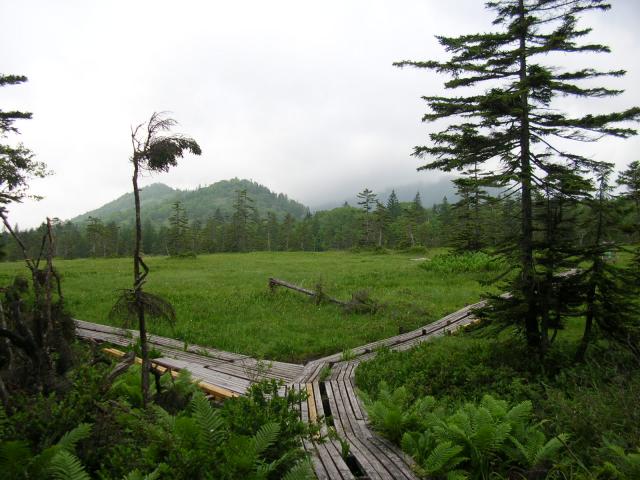 ƻʻϩ