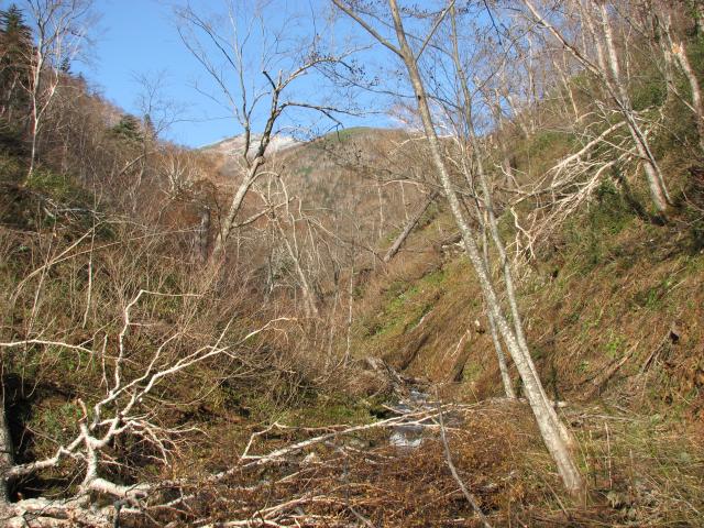 褤ƻ꤫ͤ鸫ŷٻĺ