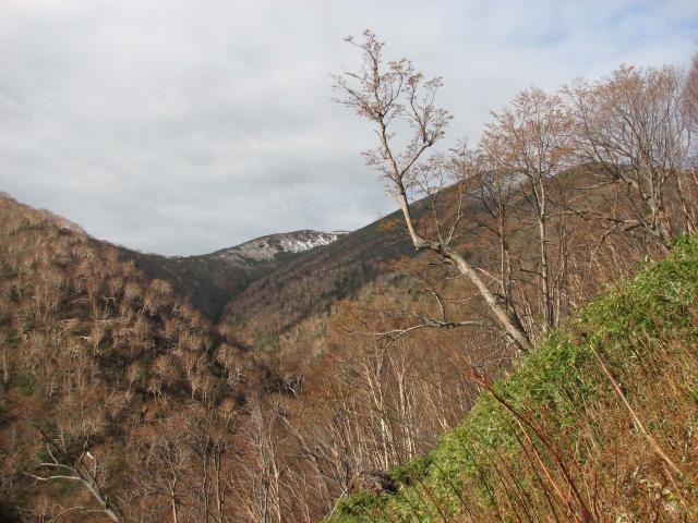 ʢ鸫ŷ٤λĺ