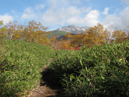この辺りで初めてトムラウシ山の山頂がかいま見えました。