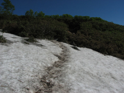 残雪。ここを過ぎると登りは終わりとなります。