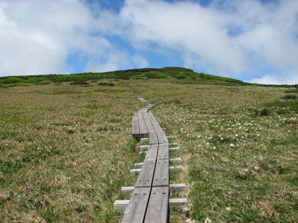 もうすぐ五色岳の山頂です。この登山道の半分以上は写真のような木道が設けられているのでとても歩きやすいです。登山者も道を外れないので環境にも良いでしょう。