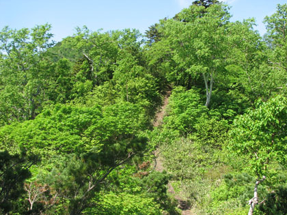 前天狗から見た登山道。前天狗は登山道から少しだけそれている小さなピークです。