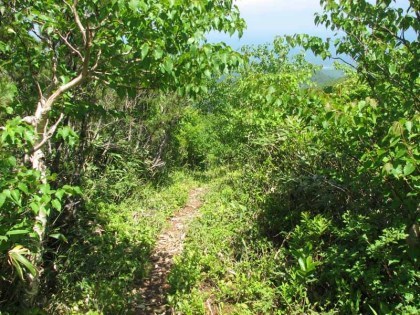 山頂への最後の小径