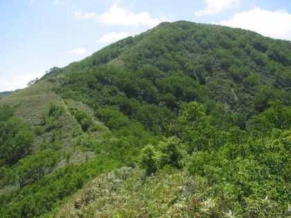 ウェンシリ岳とポロナイ岳のコルの中央にある小さなピークからポロナイ岳を遠望したところです