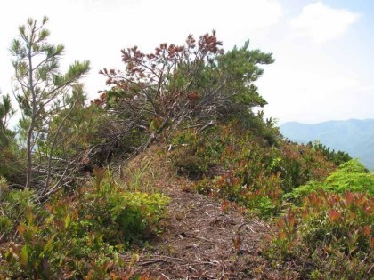 ポロナイ岳の山頂、殆どスペースはなく岩の上に腰掛けて休みます