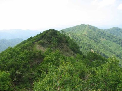 中央登山道は幾つかあるコルを越えて行きますので、変化があります