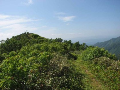 下川登山道との分岐、標識が立っています