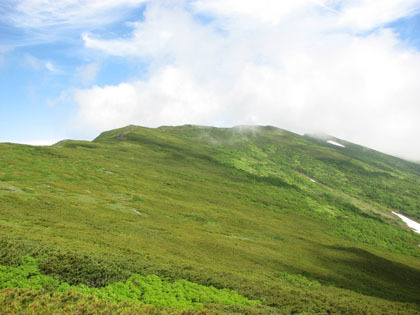 突然視界が開け比麻良山の頂が見えます