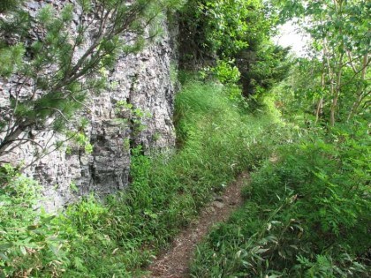 ライオン岩の横の道、この辺りからライオン岩に上れる小径が分岐しています