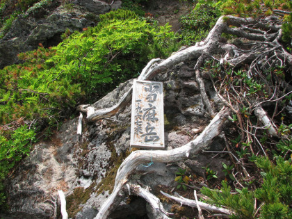当麻岳の頂に打ち付けられた木製の標識、岩と木の間に埋もれていました