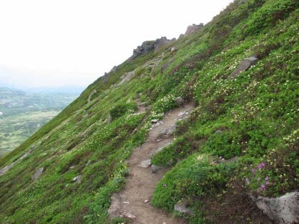 当麻岳を過ぎると平坦な道は終わり、尾根の右や左の斜面を歩きます