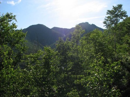 ニセイカウシュッペ山の頂は登山道のどこからでも見えます、秀麗な山容なので見ながら登ると励みになります