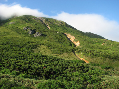 富良野岳分岐への登坂路