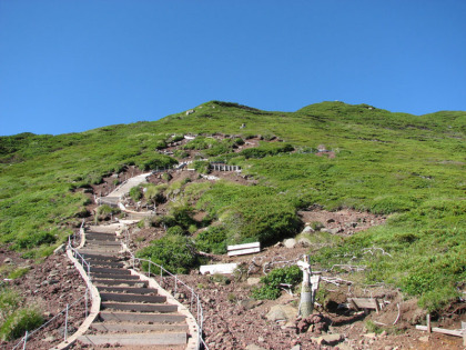 富良野岳肩分岐から見た富良野岳の登り道、ここから頂までお花畑が広がります