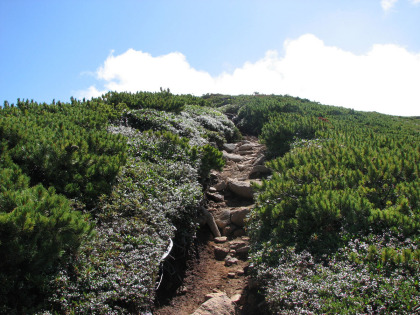 三峰山の名の通り３つのピークを登ります