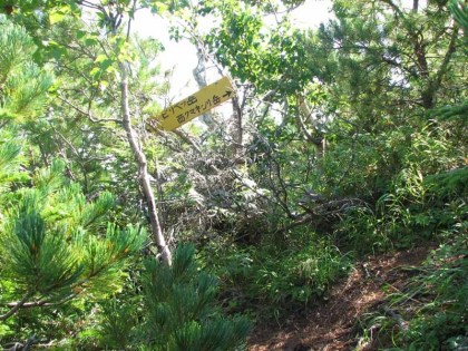 西クマネシリ岳とピリベツ岳の分岐、最初に西クマネシリ岳へ登ります