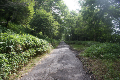 ３合目から４合目の間は工事用の作業道路を歩くので、風情に欠けいささかげんなりとします