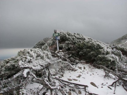 前天塩岳登山道と滝の上登山道の分岐