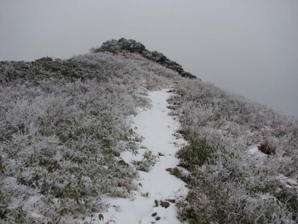 山頂への最後の登り。風が強くかがみながら前へ進みました