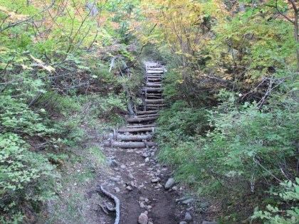 平坦な道から階段状の急勾配の道にこの辺りから変わります