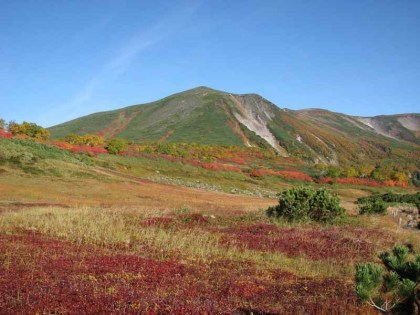 赤く染まった花園の向こうに緑岳がそびえています