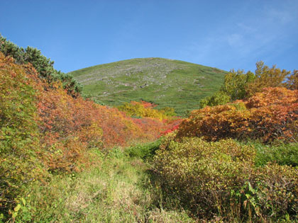 これからが難所となります。緑岳の名の通り、麓は真っ赤に色づいているのに山は緑色を失っていませんでした