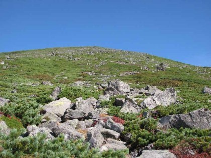 緑岳の岩場から山頂を見上げました、気が遠くなりそうな急勾配でした