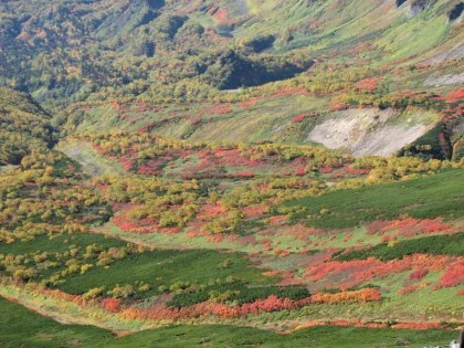 眼下を見下ろしたところ、紅葉が素晴らしいです