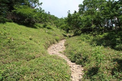 ややきつい登りがしばらく続きます