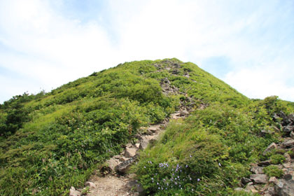 山頂の手前