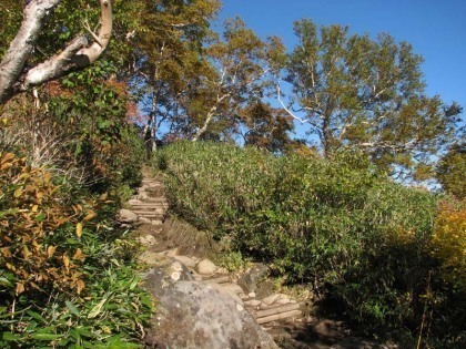 黒岳ロッジで入山届けをすませて本格的な登山道への入ります