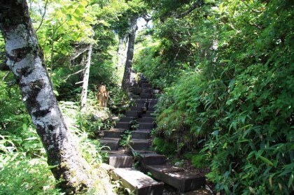 駒ノ小屋から駒ヶ岳までの道は木道と木製の階段で作られています