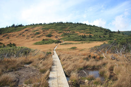 高田大岳と小岳の間のコルは湿原となっています。