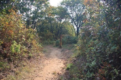 岳温泉へ至る登山道との分岐です。岳温泉への道は踏み固められていますが、もう一方の道は草で覆われ廃道の雰囲気がありました