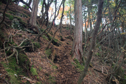 ピークへ登る道