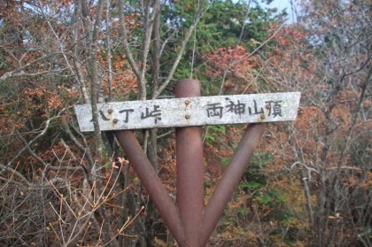 八丁峠と両神山の文字が書かれた道標、八丁峠まですぐ近くだとこのときは思いました