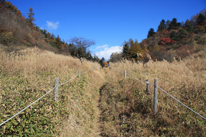 丸山峠、茶屋がありますが秋期は休業していました