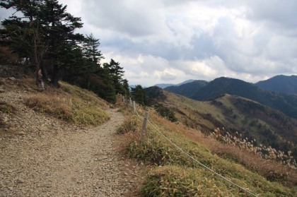 分岐を過ぎると樹木が少なくなり、景観を楽しみながら歩けます