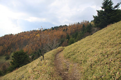 石丸峠からは急勾配の下りとなります。