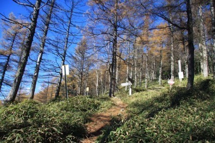 小雲取山の手前