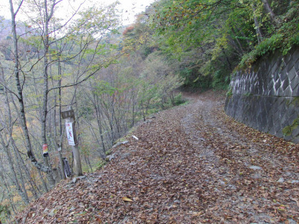 日原林道の登山口。ここも駐車場はありませんが車が数台止められるスペースがあります