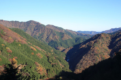 丹沢の渓谷の風景