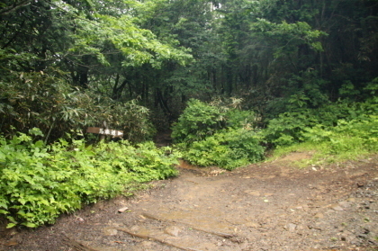 再び林道と合流します。すぐに登山道へと入ります。