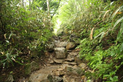 足下がいかにも登山をしていると実感させてくれる岩や石、泥の路面です。