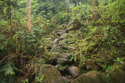 苔生した岩場の登り。