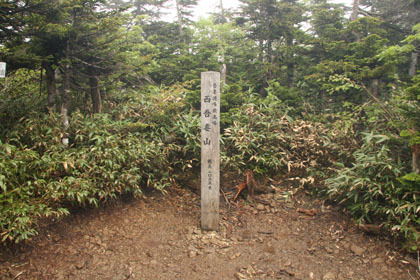 西吾妻山の頂。樹木に覆われているので何も見えません。山頂の標識が無ければ頂とも気づかないでしょう。