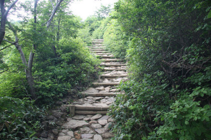 石の階段を歩きます。