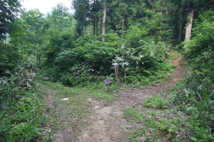 ここから分岐して登山道に入ります。