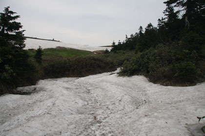 復路はルートを変えて雪渓歩きをしました。
